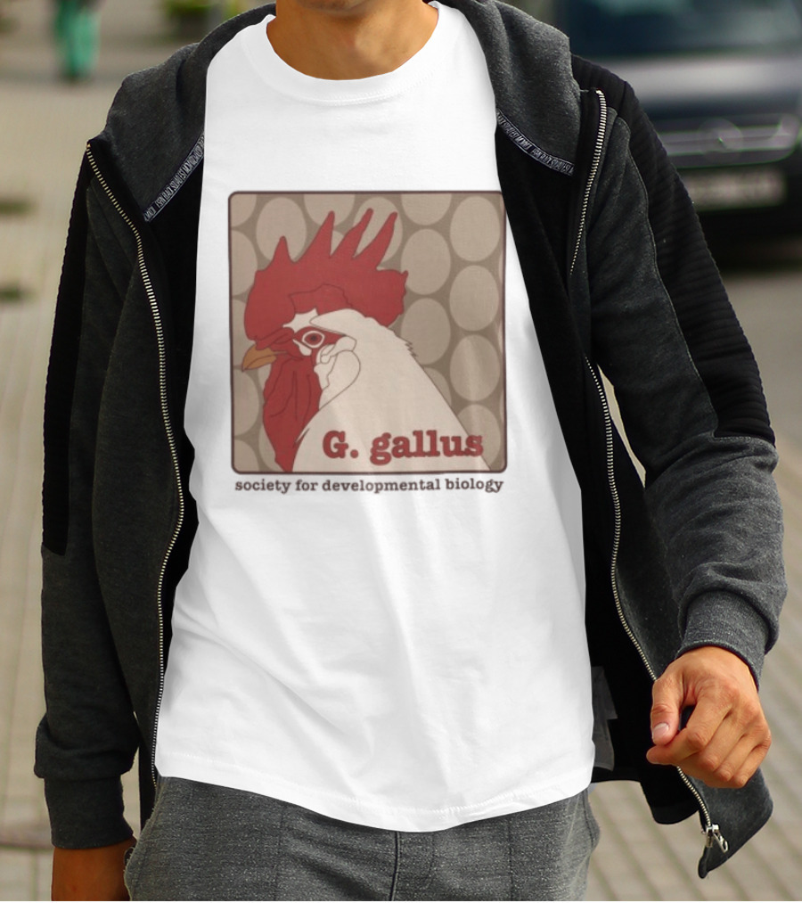 G Gallus Society For Developmental Biology Chicken Rooster Oval T-Shirt