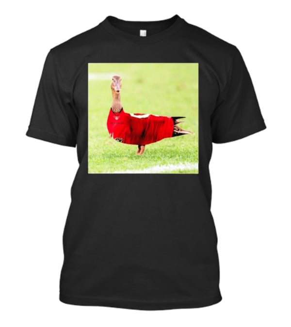 Tampa Bay Buccaneers Duck 2026 Football Fan T-Shirt