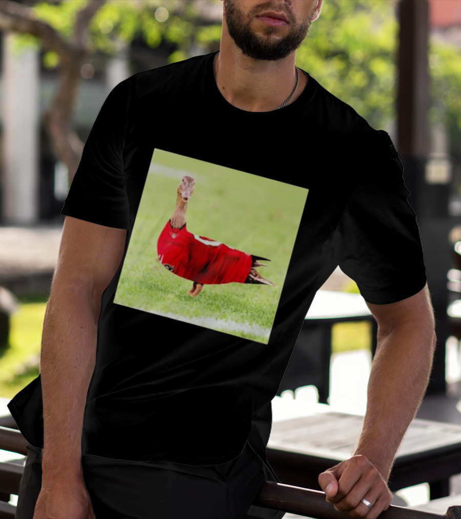 Tampa Bay Buccaneers Duck 2026 Football Fan T-Shirt