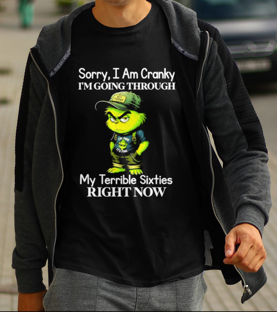 Sorry I Am Cranky I'm Going Through My Terrible Sixties Right Now T-Shirt