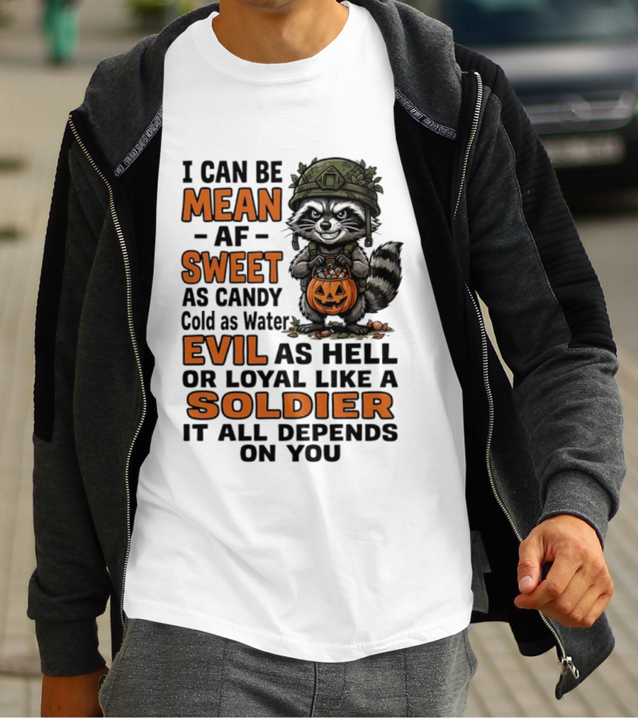 Raccoon I Can Be Mean AF Sweet As Candy Cold As Water Evil As Hell Or Loyal Like A Soldier It All Depends On You T-Shirt