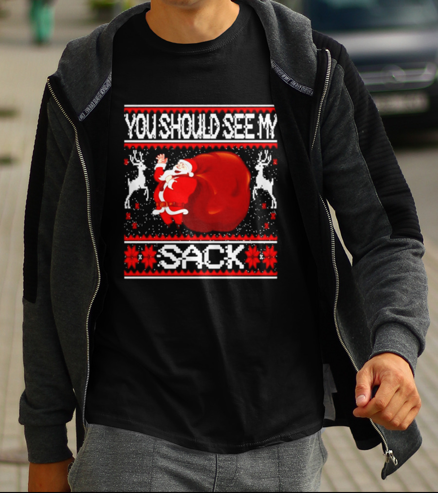 You Should See My Sack Santa Claus Ugly Christmas Reindeer Snowflakes T-Shirt