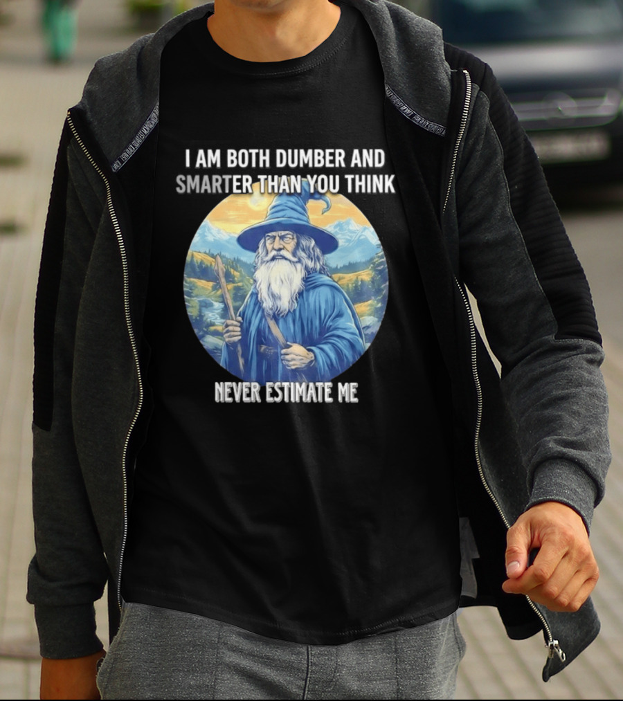 I Am Both Dumber And Smarter Than You Think Never Estimate Me Wizard Blue Robe And Hat Mountain T-Shirt