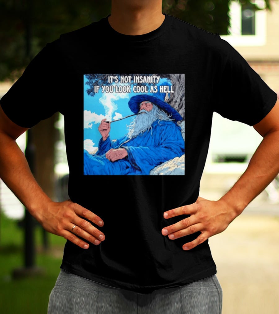 It's Not Insanity If You Look Cool As Hell Wizard Smoking Pipe T-Shirt