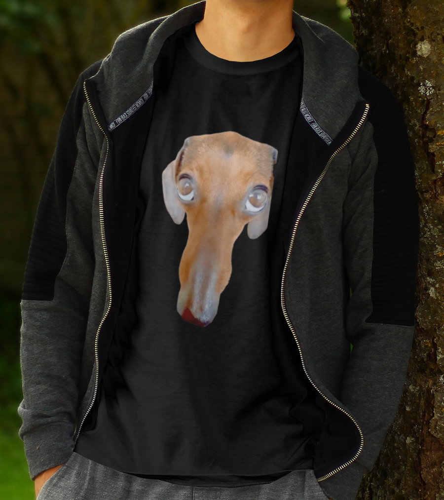 Big Ol Weiner Dog Dachshund Puppy Face Funny Novelty T-Shirt