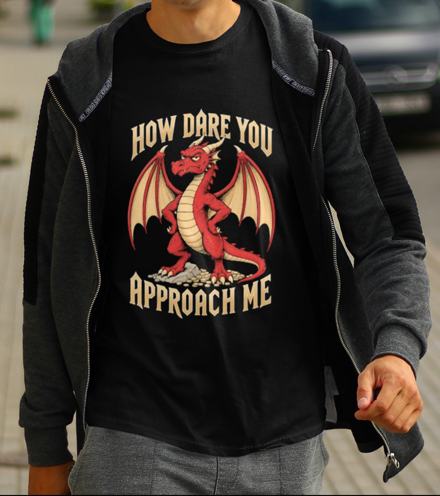How Dare You Approach Me Dragon Fantasy Winged Creature T-Shirt