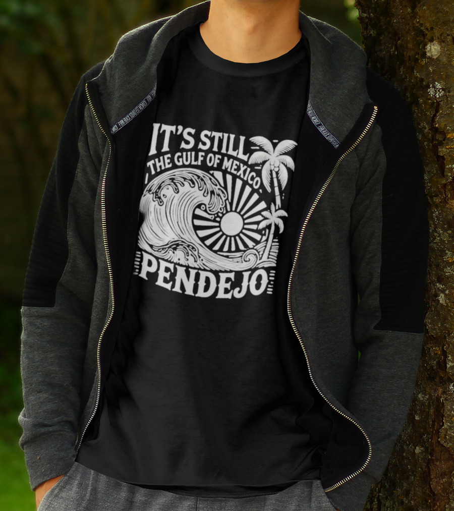 It's Still The Gulf Of Mexico Pendejo Wave Palm Sun T-Shirt