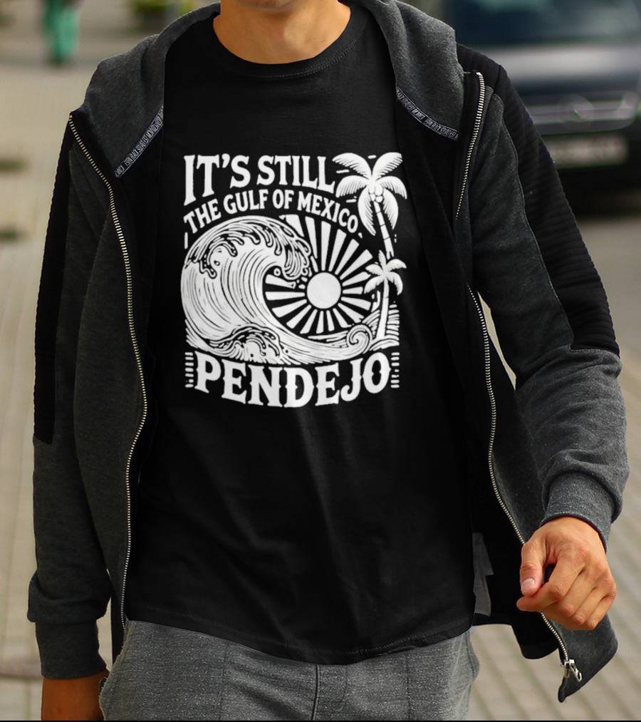 It's Still The Gulf Of Mexico Pendejo Wave Palm Sun T-Shirt