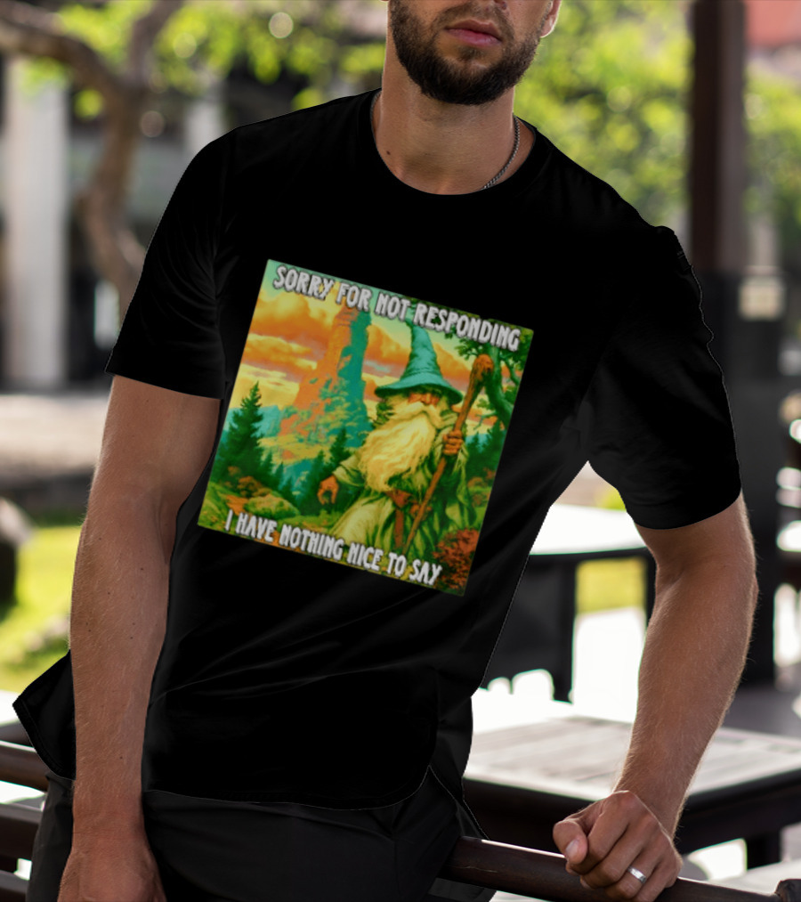 Sorry For Not Responding I Have Nothing Nice To Say Wizard Scene T-Shirt