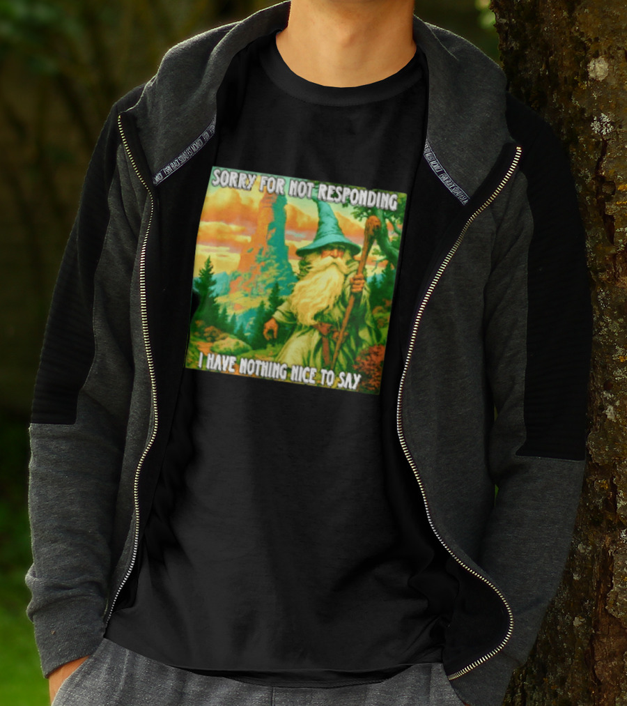 Sorry For Not Responding I Have Nothing Nice To Say Wizard Scene T-Shirt