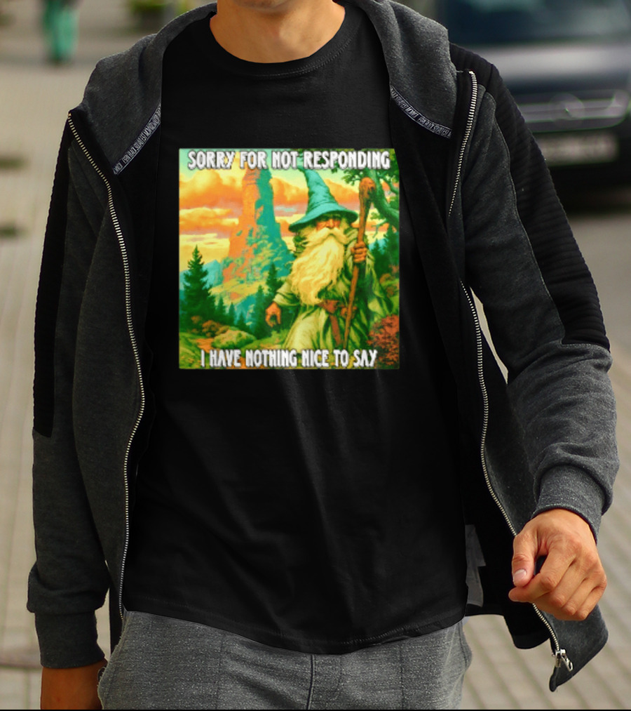 Sorry For Not Responding I Have Nothing Nice To Say Wizard Scene T-Shirt