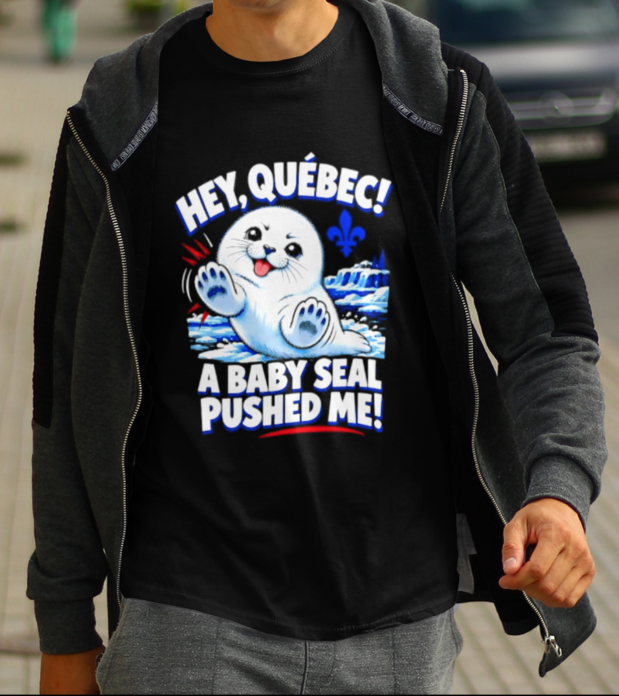 Hey Quebec A Baby Seal Pushed Me Cute Harp Seal Iceberg Splash T-Shirt