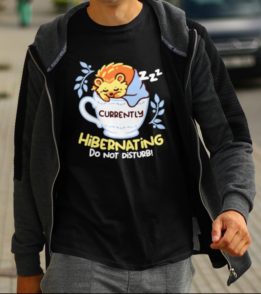 Currently Hibernating Do Not Disturb Hedgehog In Teacup Python T-Shirt
