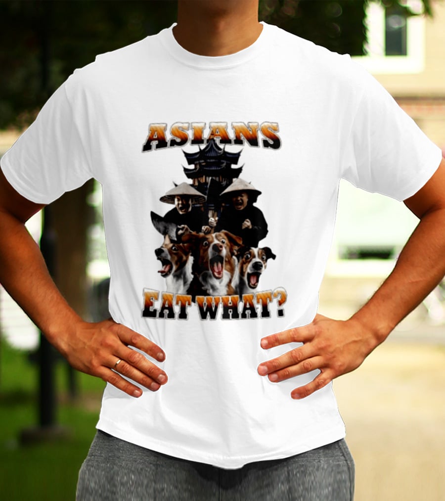 Asians Eat What Pagoda And Dogs Offensive Meme T-Shirt