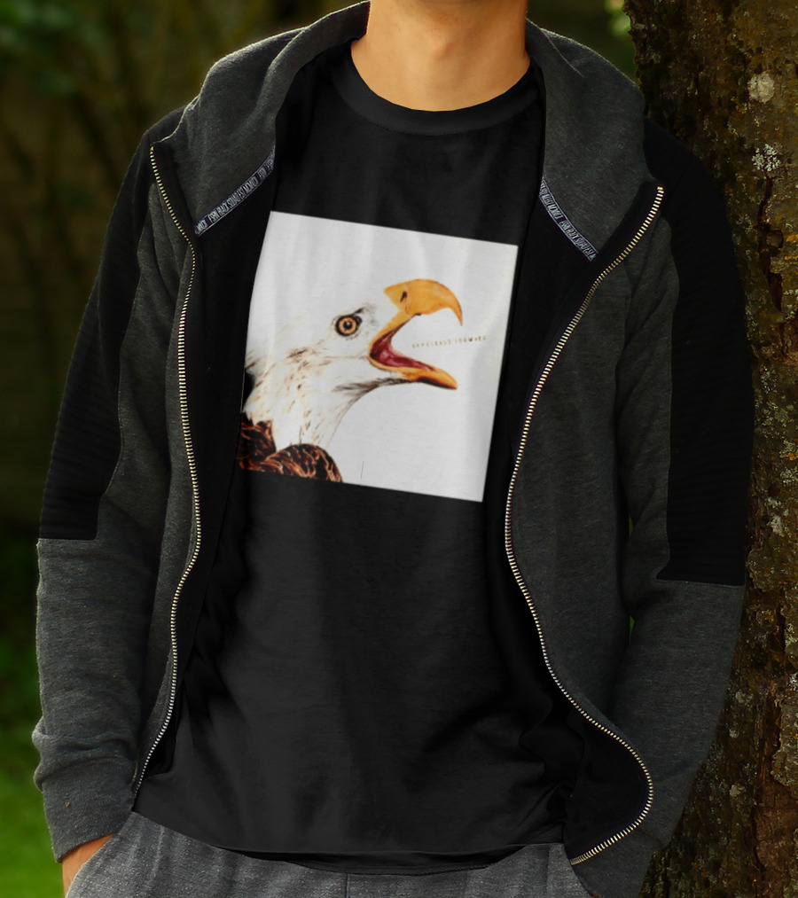Democracy Forward Bald Eagle Patriotic T-Shirt