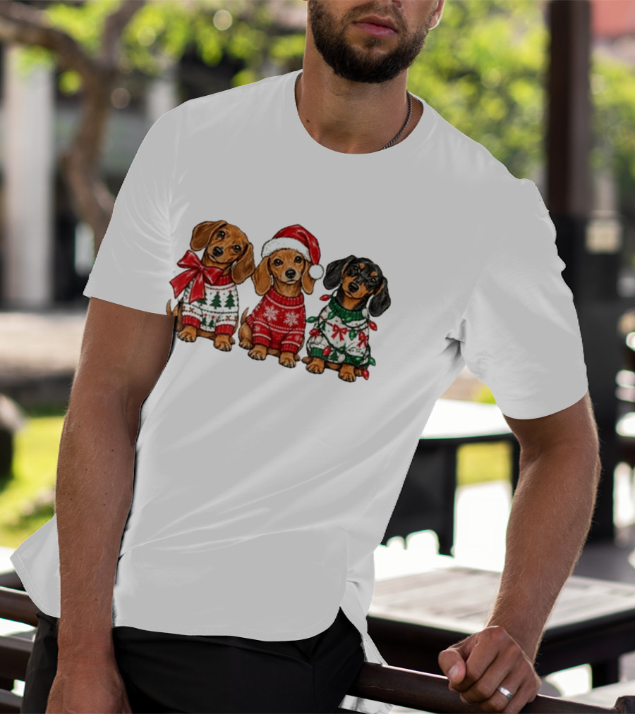 Cozy Christmas Dachshund Trio In Festive Sweaters With Santa Hat T-Shirt