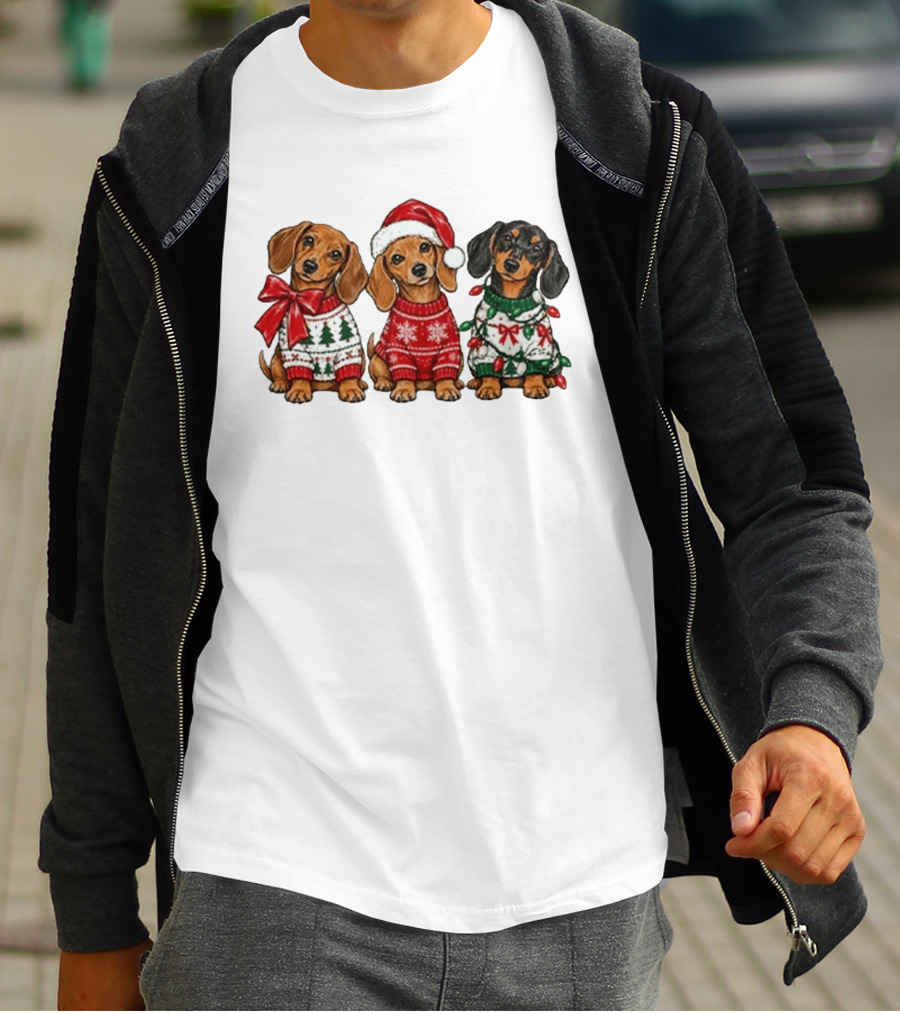 Cozy Christmas Dachshund Trio In Festive Sweaters With Santa Hat T-Shirt
