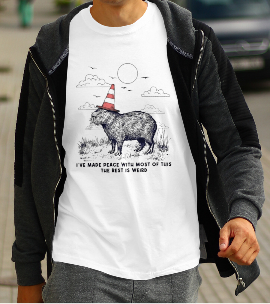 Capybara With Cone Hat Peaceful Yet Weird Scene I've Made Peace With Most Of This T-Shirt