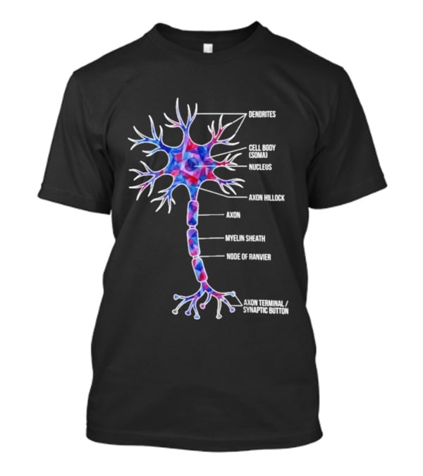 Dendrites Cell Body Soma Nucleus Axon Hillock Axon Myelin Sheath Node Of Ranvier Axon Terminal Synaptic Bouton T-Shirt