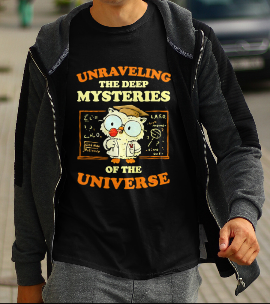 Unraveling The Deep Mysteries Of The Universe Owl With Chalkboard And Equations T-Shirt