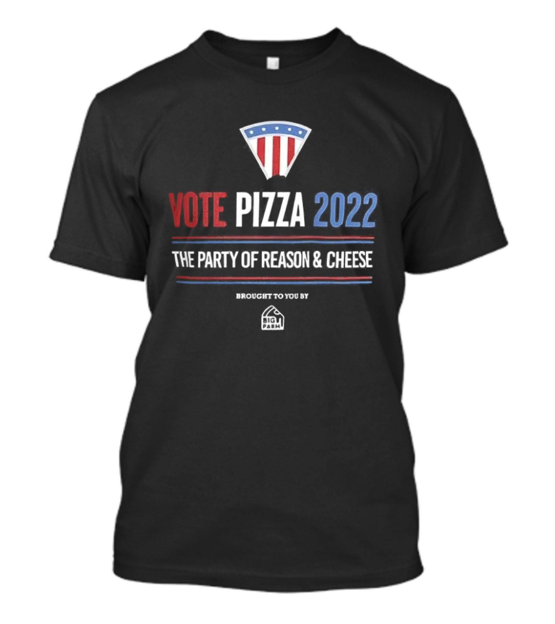 Vote Pizza 2022 The Party Of Reason & Cheese Encouraged To Vote By Pizza T-Shirt