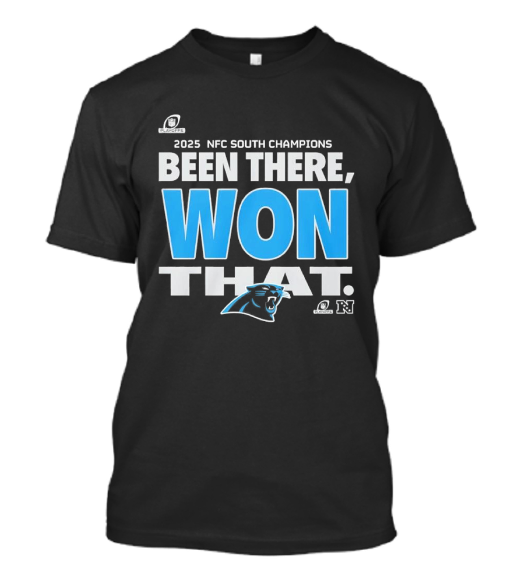 2025 NFC South Champions Been There Won That Panthers T-Shirt