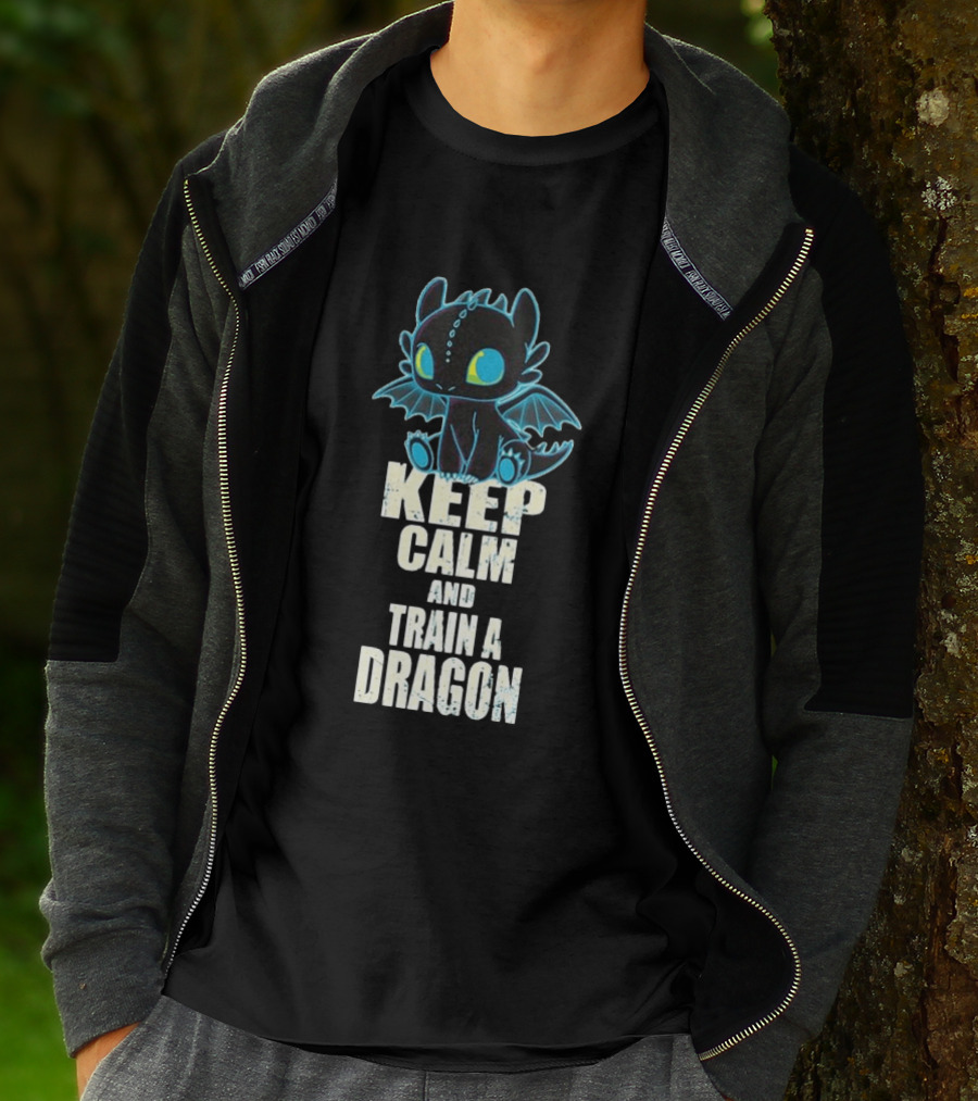 Keep Calm And Train A Dragon Toothless How To Train Your Dragon Cartoon T-Shirt