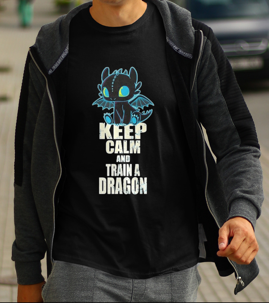 Keep Calm And Train A Dragon Toothless How To Train Your Dragon Cartoon T-Shirt