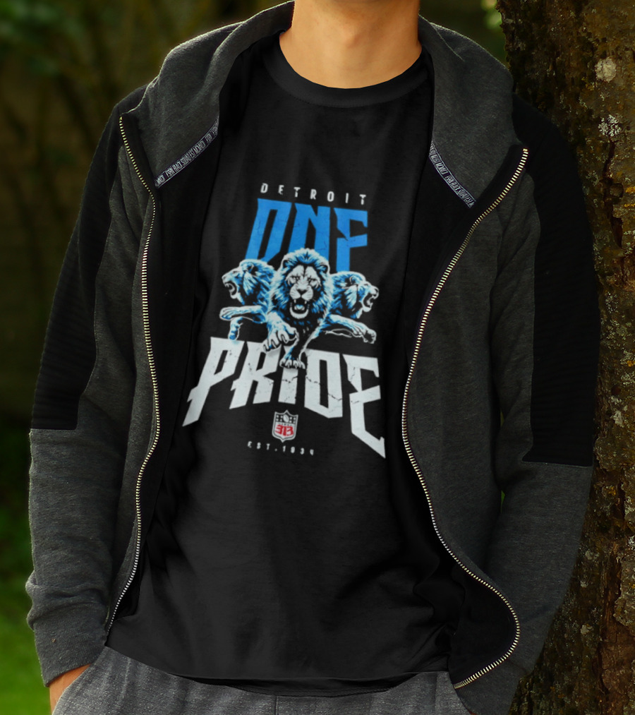 Detroit One Pride 313 Lions Est 1930 T-Shirt