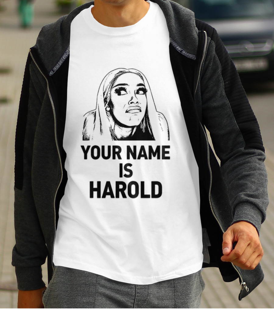 Your Name Is Harold Meme Humor T-Shirt