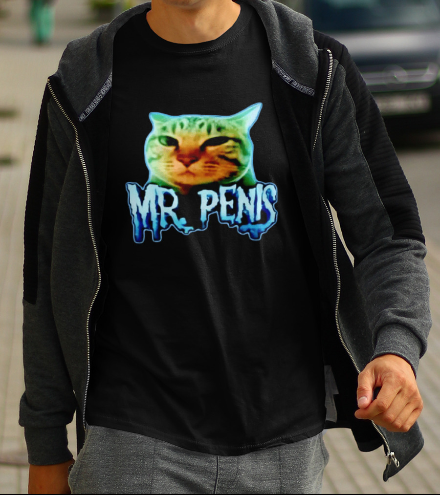 Mr Penis Cat Bold Neon Feline Face T-Shirt