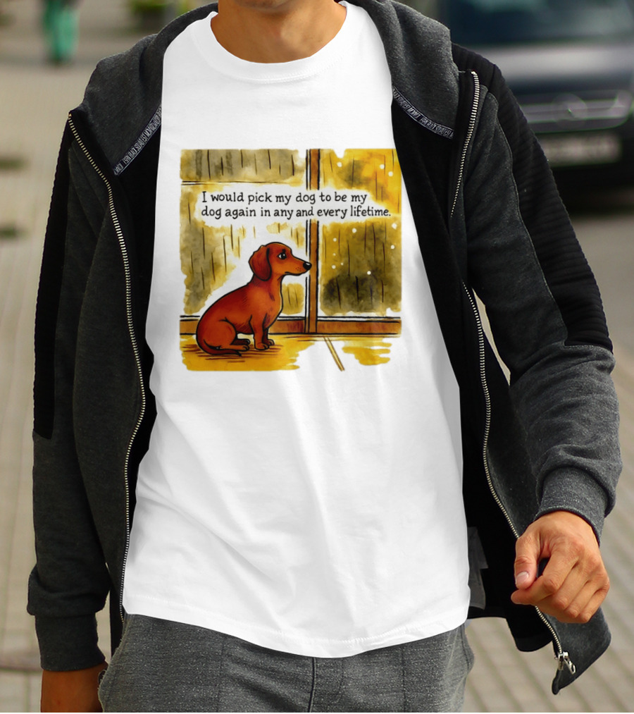I Would Pick My Dog To Be My Dog Again In Any And Every Lifetime Dachshund By Window T-Shirt