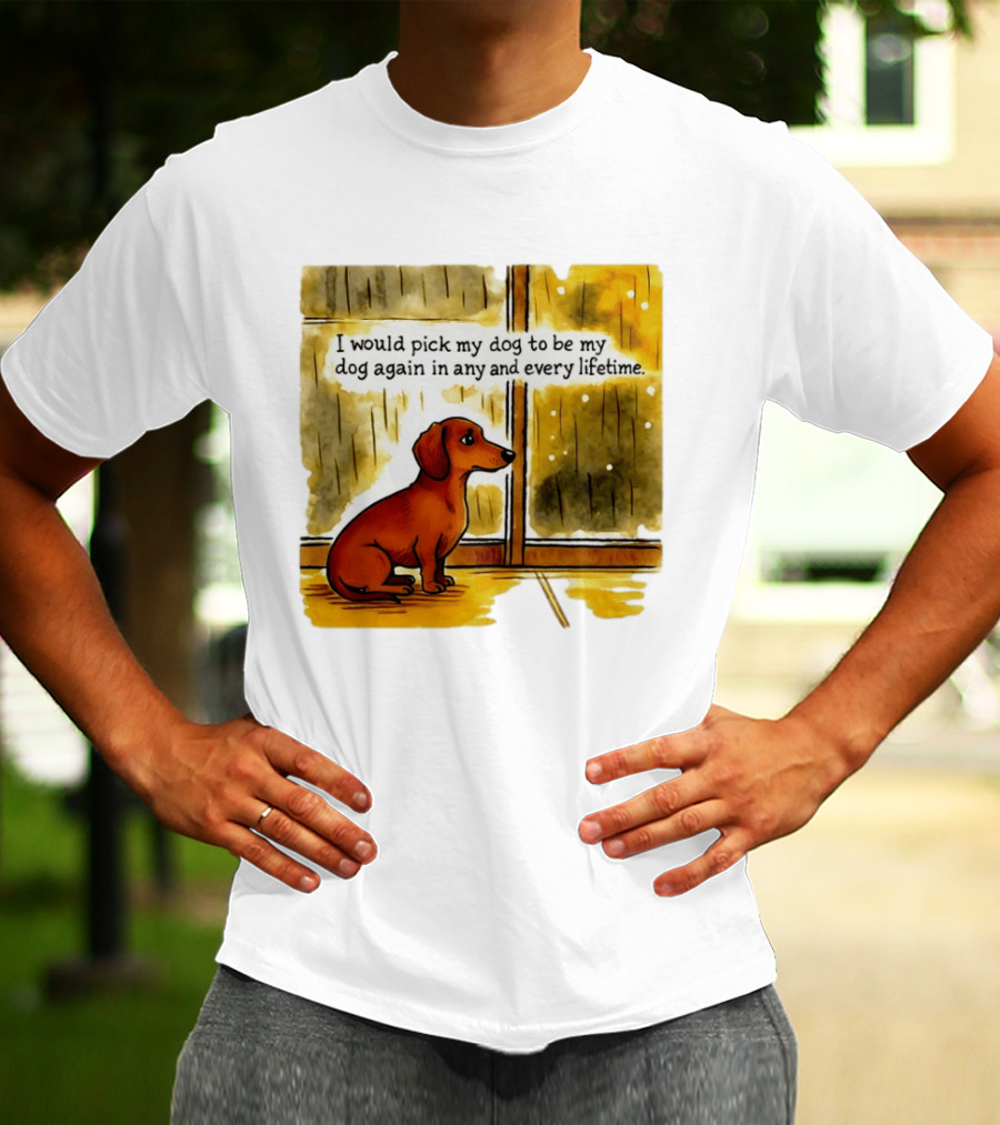 I Would Pick My Dog To Be My Dog Again In Any And Every Lifetime Dachshund By Window T-Shirt