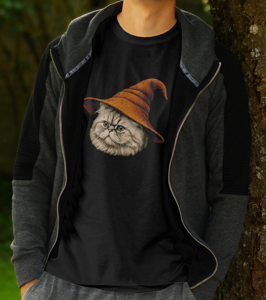 Beanie Cat Wizard Cartoon Plush Orange Hat Feline T-Shirt