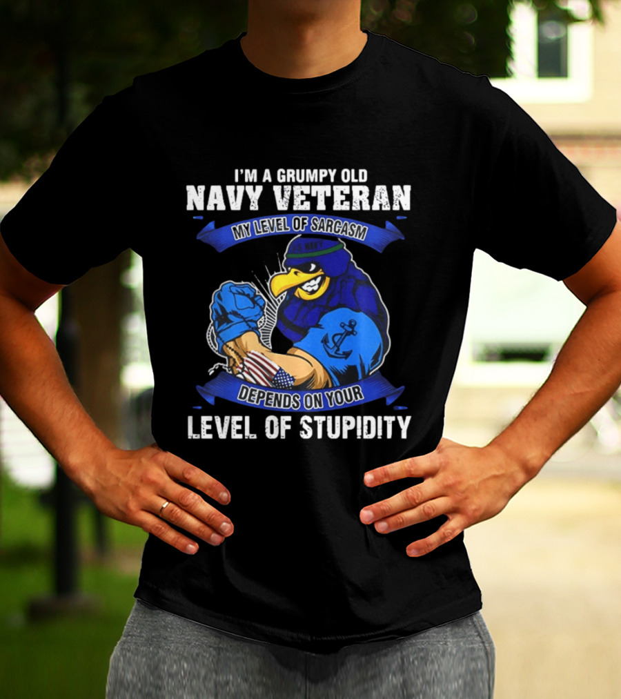 Grumpy Old Navy Veteran Sarcasm Stupidity Level Patriotic Eagle T-Shirt