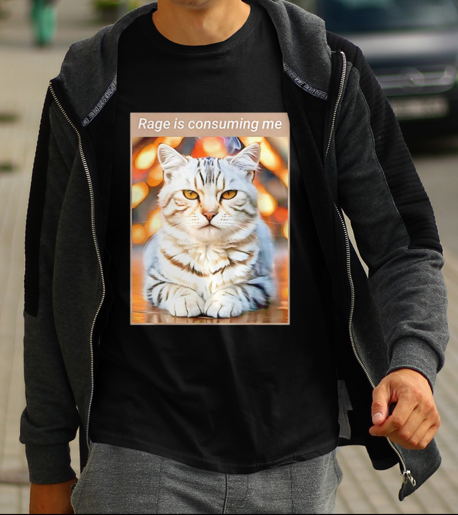 Cat Rage Is Consuming Me Meme Tiger Stripes T-Shirt