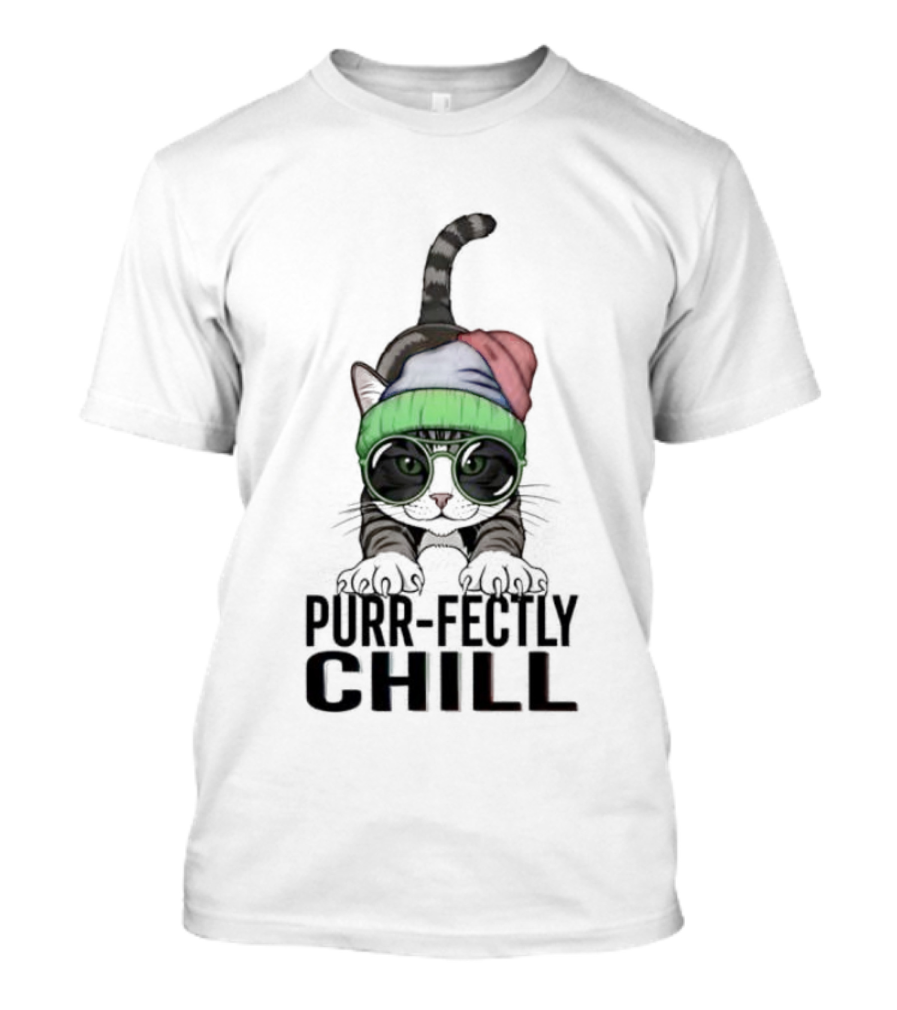 Purr Fectly Chill Cat With Beanie And Sunglasses T-Shirt