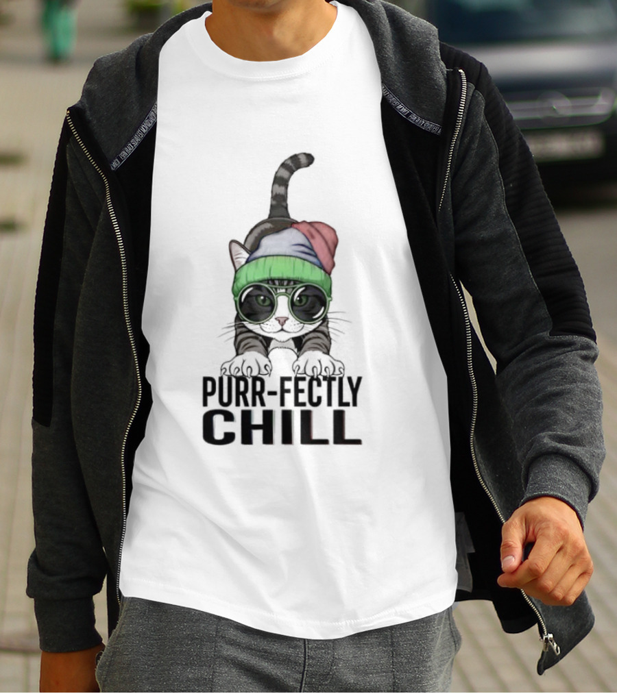 Purr Fectly Chill Cat With Beanie And Sunglasses T-Shirt