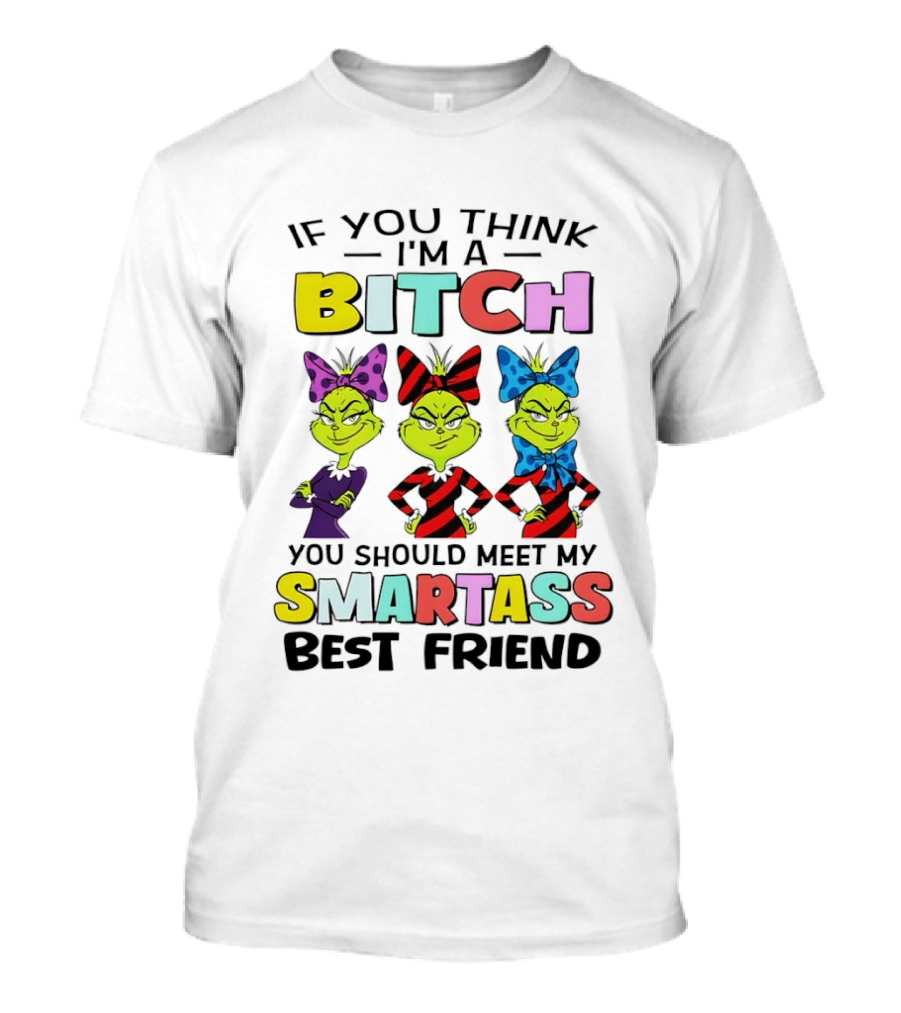 Bitch Smartass Grinch Best Friend Colorful Sassy Attitude T-Shirt