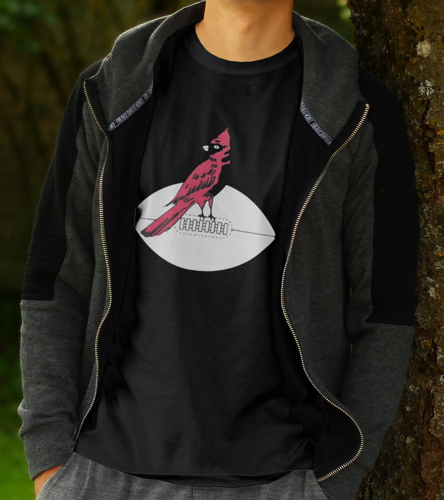 Arizona Cardinals Bird On Football T-Shirt