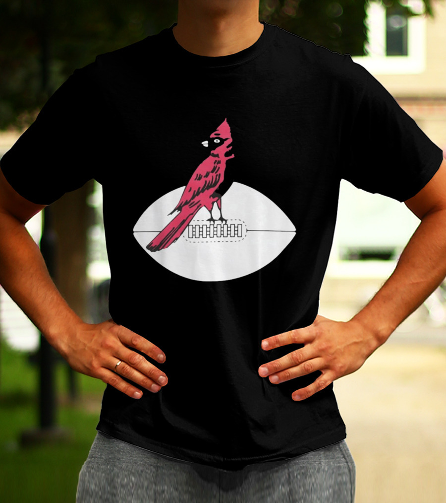 Arizona Cardinals Bird On Football T-Shirt