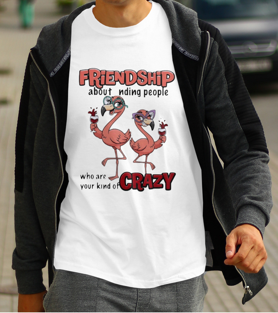 FRIENDSHIP About Finding People Who Are Your Kind Of CRAZY Flamingo Humor T-Shirt