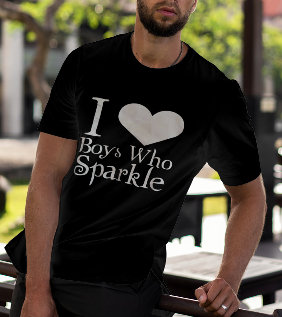 I Love Boys Who Sparkle Twilight Inspired Phrase T-Shirt