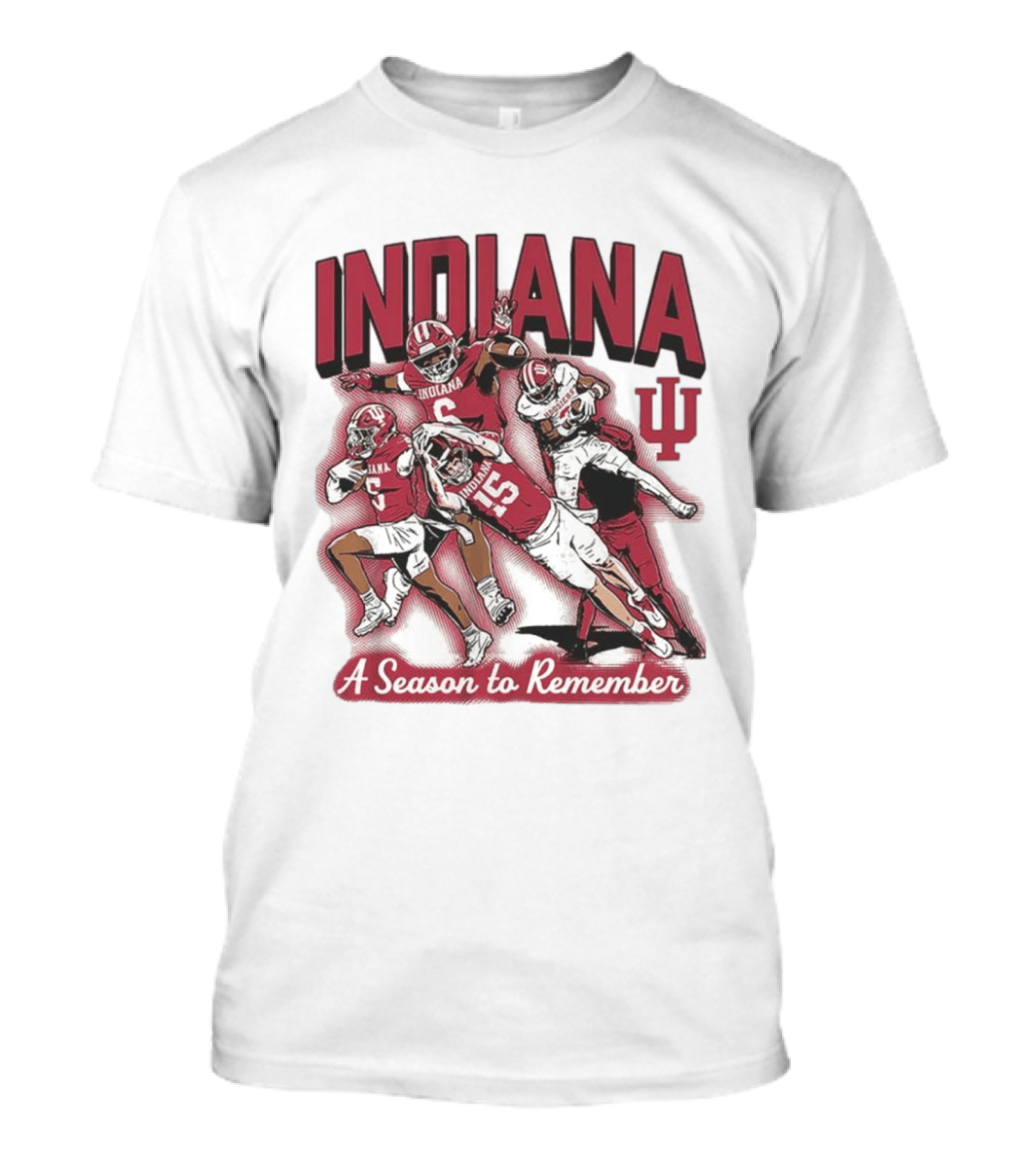 Indiana Hoosiers Football A Season To Remember T-Shirt