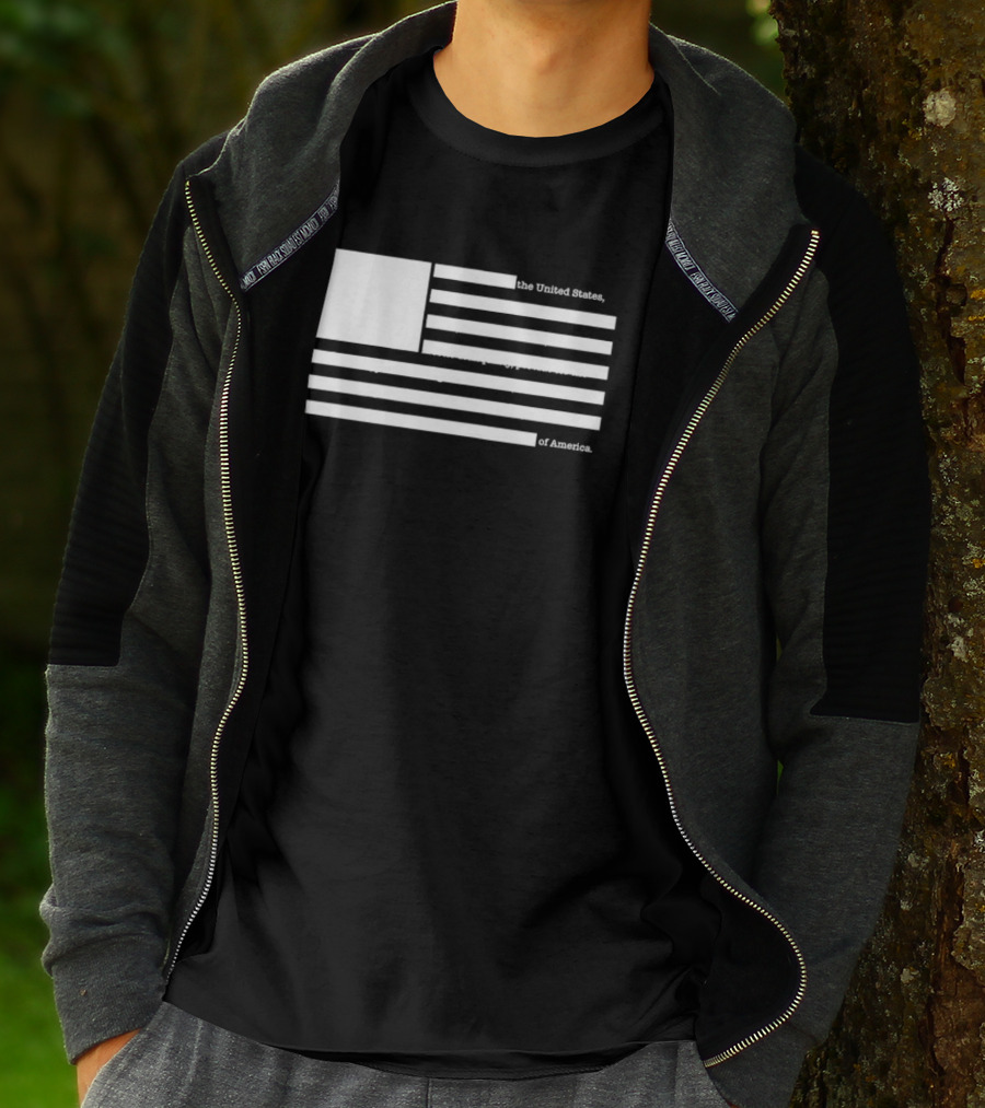 United States Declaration Of Independence Flag T-Shirt
