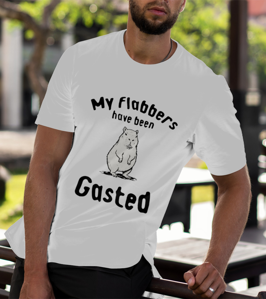 My Flabbers Have Been Gasted Capybara Meme T-Shirt