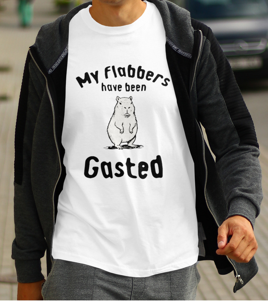 My Flabbers Have Been Gasted Capybara Meme T-Shirt