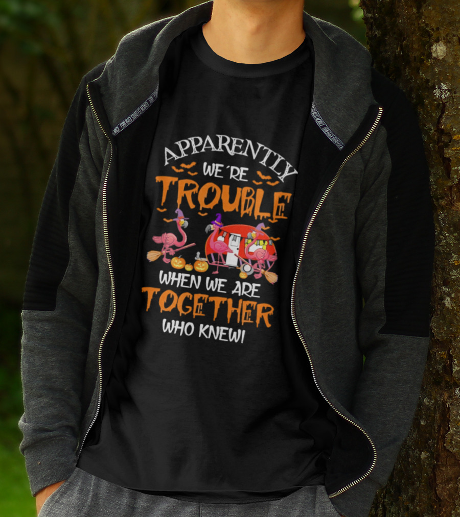 Apparently We're Trouble Flamingos Halloween Together Who Knew T-Shirt