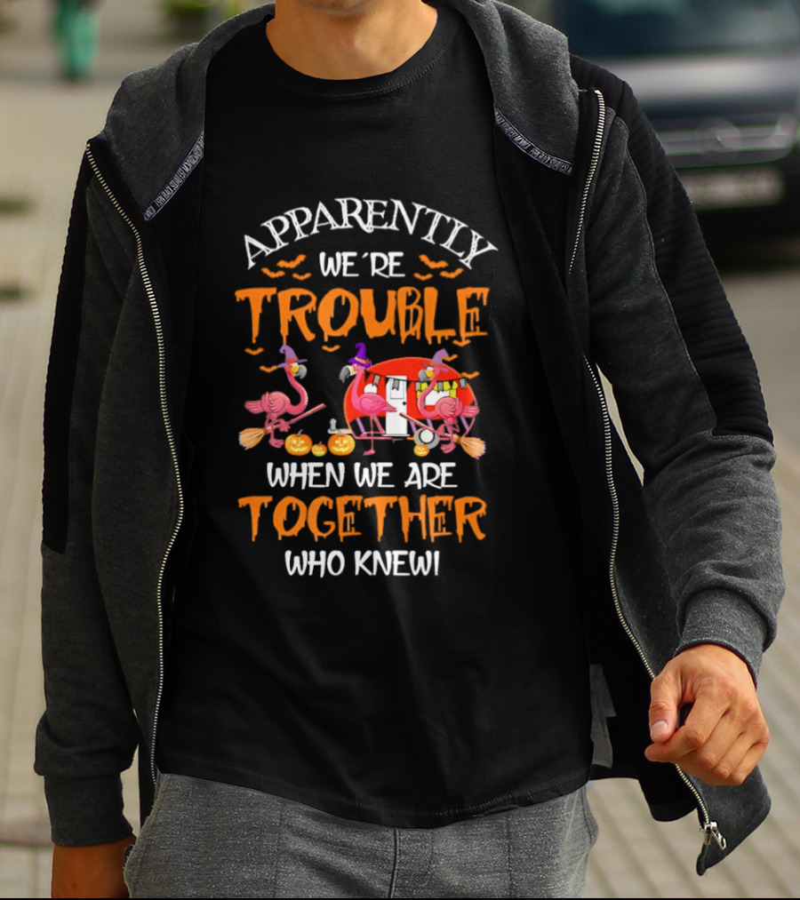 Apparently We're Trouble Flamingos Halloween Together Who Knew T-Shirt