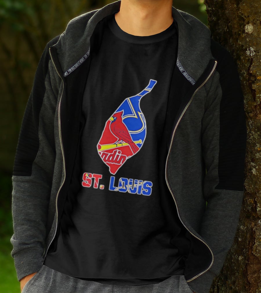 St. Louis Cardinals And Blues Team Spirit T-Shirt